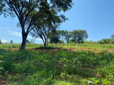 Fazenda / Sítio / Chácara à venda, 1m² no Gleba Destacada da Fazenda Santa Cruz, Jaguariúna