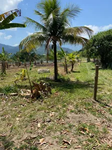 Terreno / Lote / Condomínio à venda, 3250m² no Sampaio Correia (Sampaio Correia), Saquarema