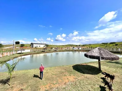 Fazenda / Sítio / Chácara com 3 Quartos à venda, 270m² no Tataúba, Caçapava