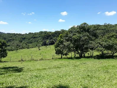Fazenda / Sítio / Chácara à venda, 133100m² no , Vargem Grande Paulista