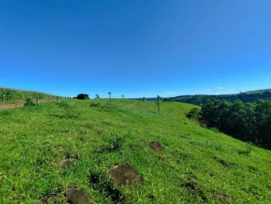 Fazenda / Sítio / Chácara à venda, 150m² no , Guaraniaçu
