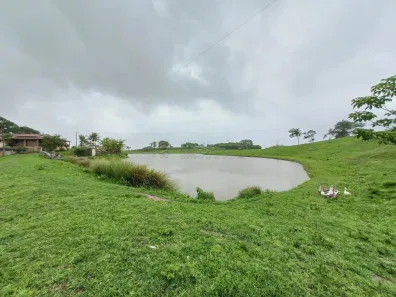 Fazenda / Sítio / Chácara com 11 Quartos à venda, 128000m² no , Pombos