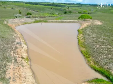 Fazenda / Sítio / Chácara à venda, 150000m² no , Feira Nova