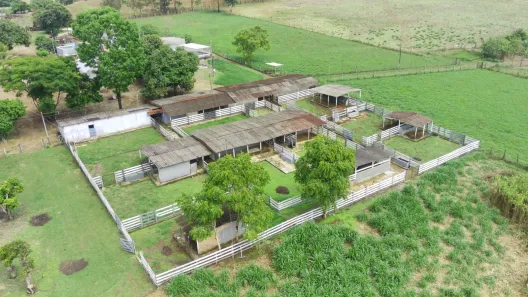 Fazenda / Sítio / Chácara com 4 Quartos à venda, 70000m² no Mansões de Recreio Estrela Dalva VII-A, Novo Gama