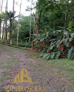 Fazenda / Sítio / Chácara com 5 Quartos à venda, 480m² no Vargem Alegre, Barra do Piraí