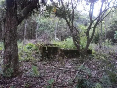 Fazenda / Sítio / Chácara à venda, 14000m² no Gaivota, Itanhaém