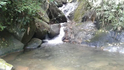 Fazenda / Sítio / Chácara com 1 Quarto à venda, 290000m² no , Rio Bonito