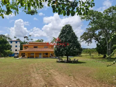 Fazenda / Sítio / Chácara com 5 Quartos à venda, 10m² no POV CAFEZAL, Turiaçu