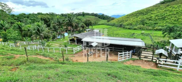 Fazenda / Sítio / Chácara com 3 Quartos à venda, 350m² no Funchal, Cachoeiras de Macacu