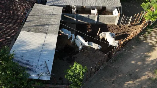 Fazenda / Sítio / Chácara com 3 Quartos à venda, 7000m² no , Bananeiras