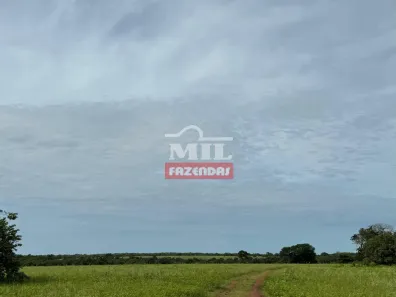 Fazenda / Sítio / Chácara à venda, 500m² no , Formoso do Araguaia