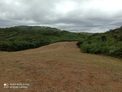 Fazenda / Sítio / Chácara à venda, 95465m² no Morro Azul, Almirante Tamandaré