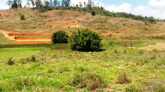 Fazenda / Sítio / Chácara com 1 Quarto à venda, 12700m² no Área Rural de Viçosa, Viçosa