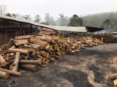 Fazenda / Sítio / Chácara com 2 Quartos à venda, 76600m² no , Pilar do Sul