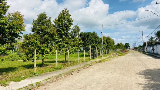 Fazenda / Sítio / Chácara com 5 Quartos à venda, 20m² no Centro, Conceição da Feira