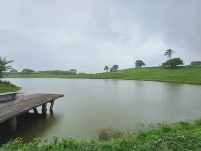 Fazenda / Sítio / Chácara com 11 Quartos à venda, 128519m² no , Pombos