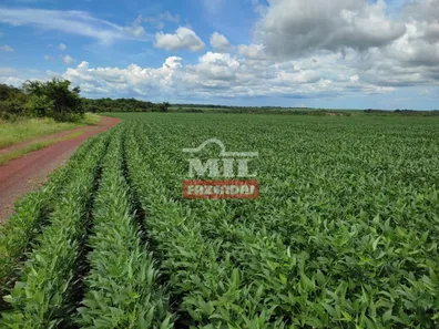 Fazenda / Sítio / Chácara à venda, 2444m² no , Santa Maria do Tocantins