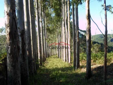 Fazenda / Sítio / Chácara com 5 Quartos à venda, 200m² no , Igaratá