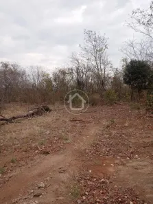 Fazenda / Sítio / Chácara com 1 Quarto à venda, 2000m² no , Bandeirantes