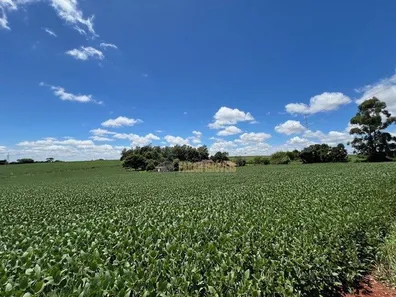 Fazenda / Sítio / Chácara com 6 Quartos à venda, 4m² no Parque Industrial José Garcia Gimenes, Cambé