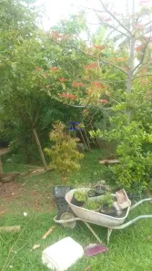 Fazenda / Sítio / Chácara com 2 Quartos à venda, 64m² no , Contenda
