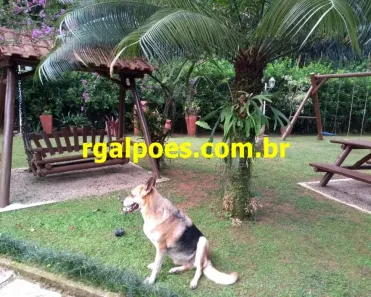Fazenda / Sítio / Chácara com 4 Quartos à venda, 20000m² no Cantagalo, Guapimirim