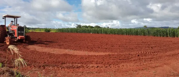 Fazenda / Sítio / Chácara à venda, 2000m² no Área Rural, Goianira