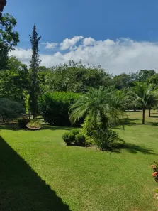 Fazenda / Sítio / Chácara com 3 Quartos à venda, 10500m² no , Cachoeiras de Macacu