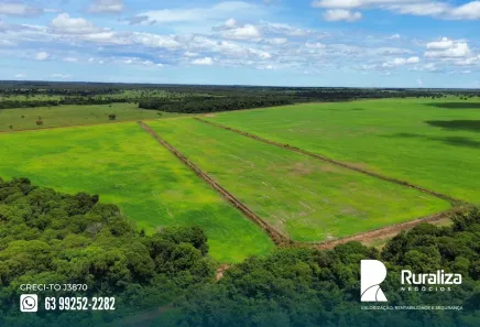 Fazenda / Sítio / Chácara à venda, 2100m² no , Pium