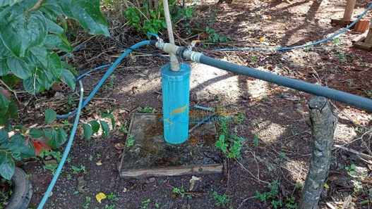 Fazenda / Sítio / Chácara com 4 Quartos à venda, 500m² no , Catanduvas