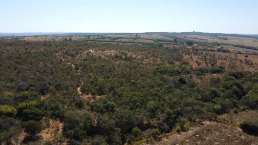 Fazenda / Sítio / Chácara com 3 Quartos à venda, 124000m² no Área Rural de Viçosa, Viçosa