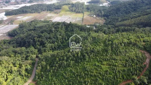 Fazenda / Sítio / Chácara com 1 Quarto à venda, 117526m² no , Massaranduba