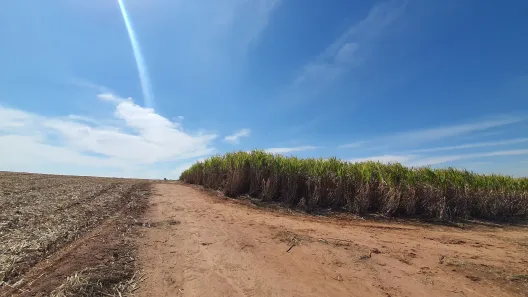 Fazenda / Sítio / Chácara à venda, 72600m² no Área Rural de Águas de São Pedro, Águas de São Pedro