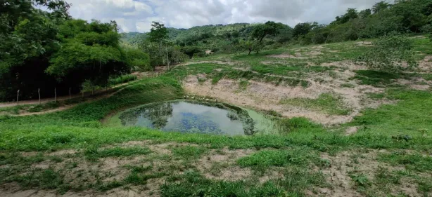 Fazenda / Sítio / Chácara com 3 Quartos à venda, 100000m² no Área Rural de Vitória do Santo Antão, Vitória de Santo Antão