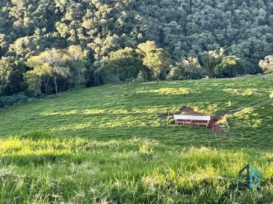 Fazenda / Sítio / Chácara com 3 Quartos à venda, 30250m² no , Guaraniaçu