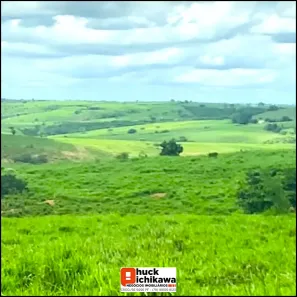 Fazenda / Sítio / Chácara à venda, 1360000m² no Centro, Nossa Senhora das Dores