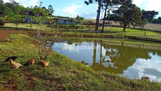 Fazenda / Sítio / Chácara à venda, 10000m² no São Salvador, Cascavel