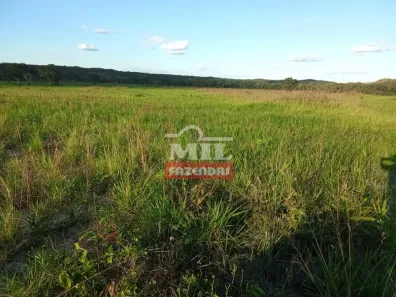 Fazenda / Sítio / Chácara à venda, 658000000m² no Setor Central, Ponte Alta do Tocantins