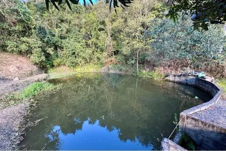 Fazenda / Sítio / Chácara com 3 Quartos à venda, 20000m² no Usina, Atibaia