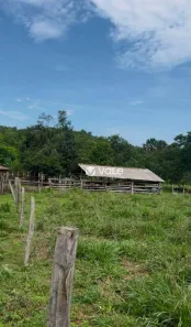 Fazenda / Sítio / Chácara com 3 Quartos à venda, 474m² no Centro, Paraíso do Tocantins