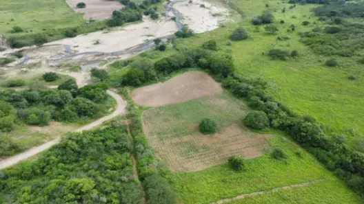 Fazenda / Sítio / Chácara com 3 Quartos à venda, 300000m² no , Ielmo Marinho