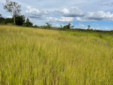 Terreno / Lote / Condomínio à venda, 20000m² no Park Way, Brasília