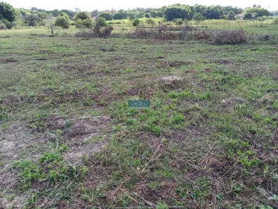 Fazenda / Sítio / Chácara com 3 Quartos à venda, 200m² no Centro, Esmeraldas