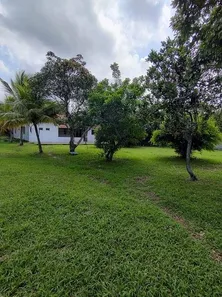 Fazenda / Sítio / Chácara com 4 Quartos à venda, 5200m² no Chácaras de Inoã (Inoã), Maricá