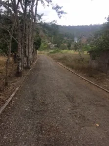 Fazenda / Sítio / Chácara com 4 Quartos à venda, 410m² no Terra Vermelha, Caruaru