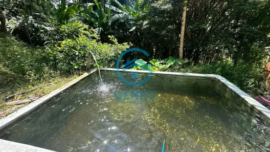 Fazenda / Sítio / Chácara com 4 Quartos à venda, 6000m² no Centro, São João Batista