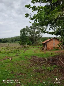 com 1 Quarto à venda, 320m² no , Pedro Afonso