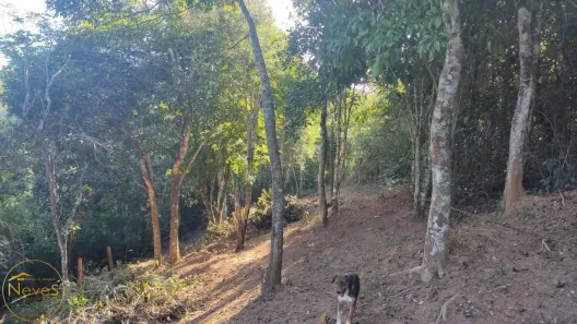 Terreno / Lote / Condomínio à venda, 486m² no Barão de Javary, Miguel Pereira