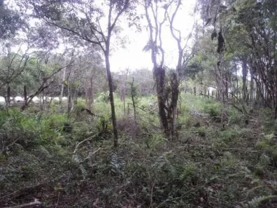 Fazenda / Sítio / Chácara à venda, 14000m² no Gaivota, Itanhaém