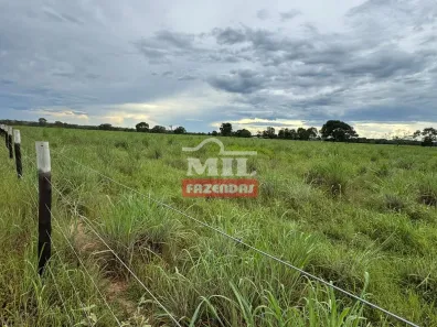 Fazenda / Sítio / Chácara à venda, 500m² no , Formoso do Araguaia